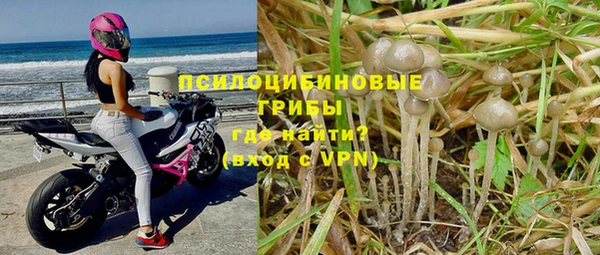 ALPHA-PVP Верхний Тагил