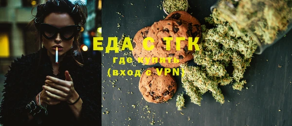 индика Сосновоборск
