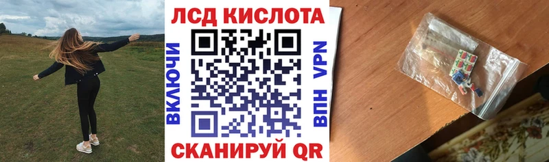Марки NBOMe 1,5мг  Купить  Болотное 