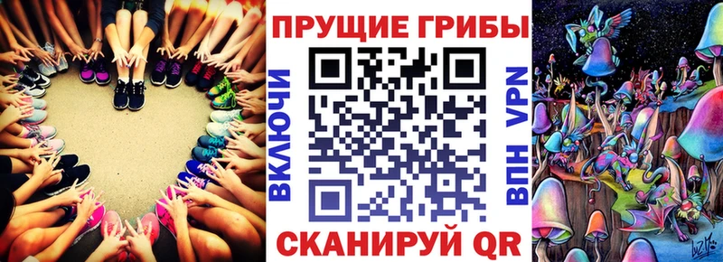 Псилоцибиновые грибы Psilocybe  Купить где  Болотное 