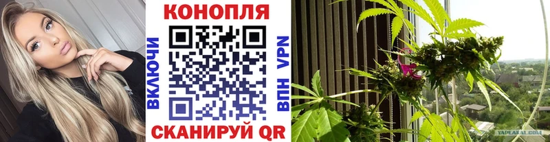 Конопля THC 21%  Купить где  Болотное 